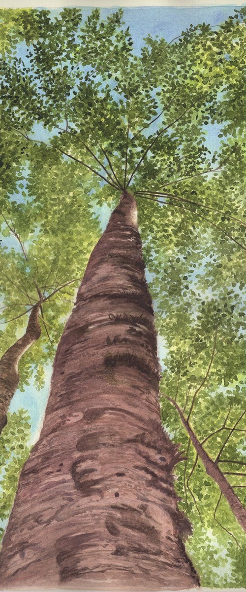 Pine Tree Forest III by Shweta Mahajan