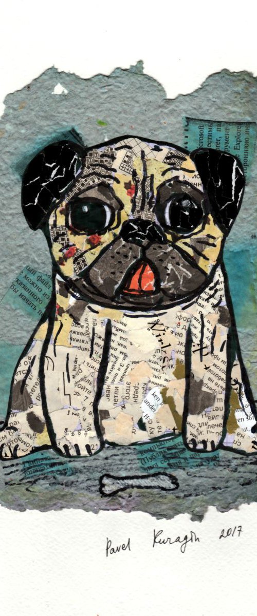 Pug puppy by Pavel Kuragin