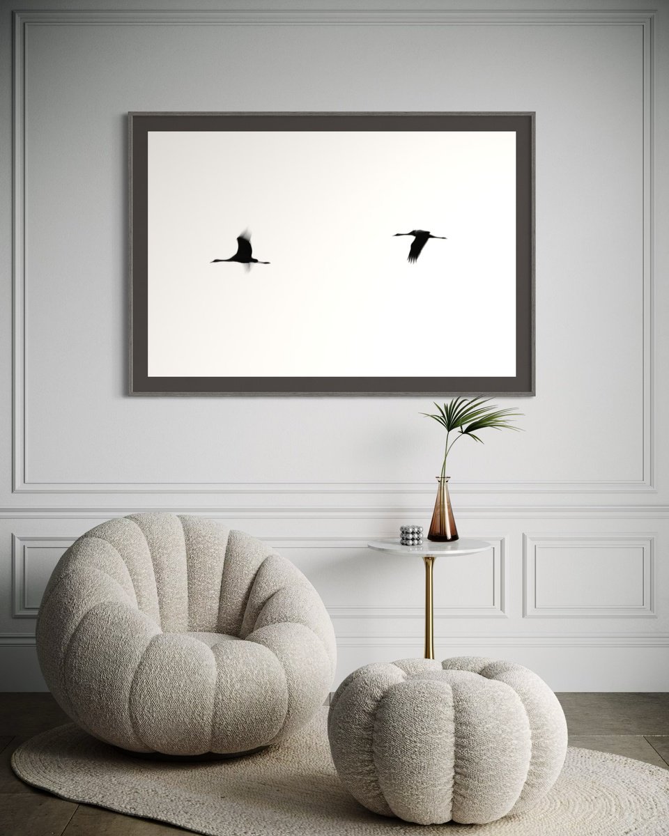 Photorealistic Photograph , Crane(S) Ii By Tal Paz-Fridman, 62 X 42, Artwork For Sale On Artfinder