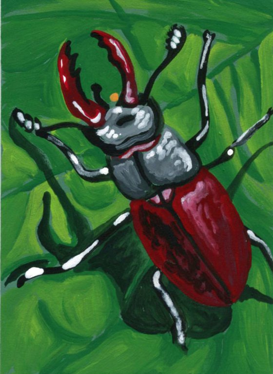 ACEO ATC Original Miniature Painting Stag Beetle Insect Wildlife Art-Carla Smale