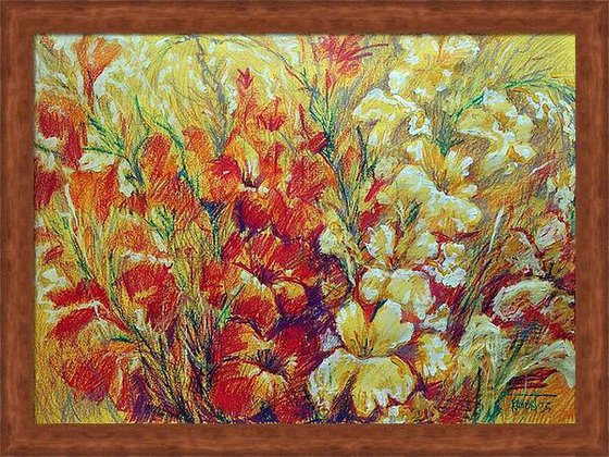 Gladiolus 2