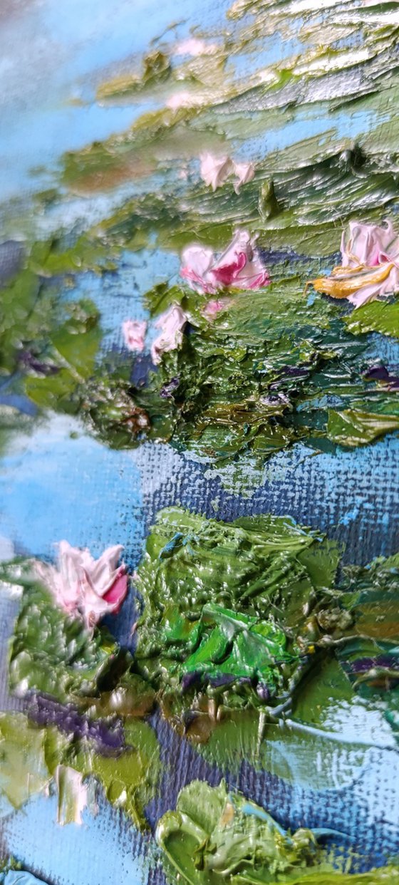 Pond ... Water Lilies