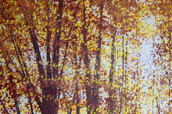 Light Through Autumn Trees