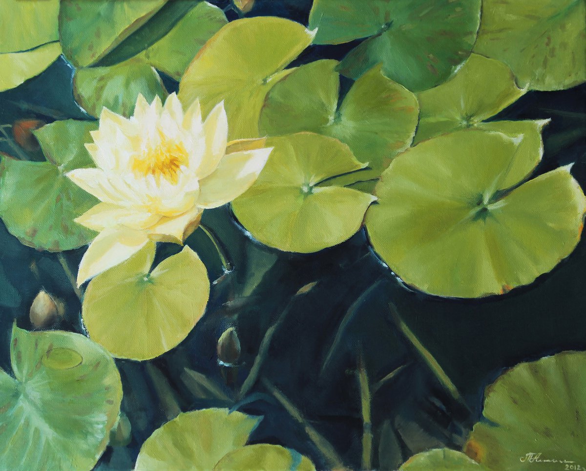 Yellow Water Lily by Tatiana Alekseeva