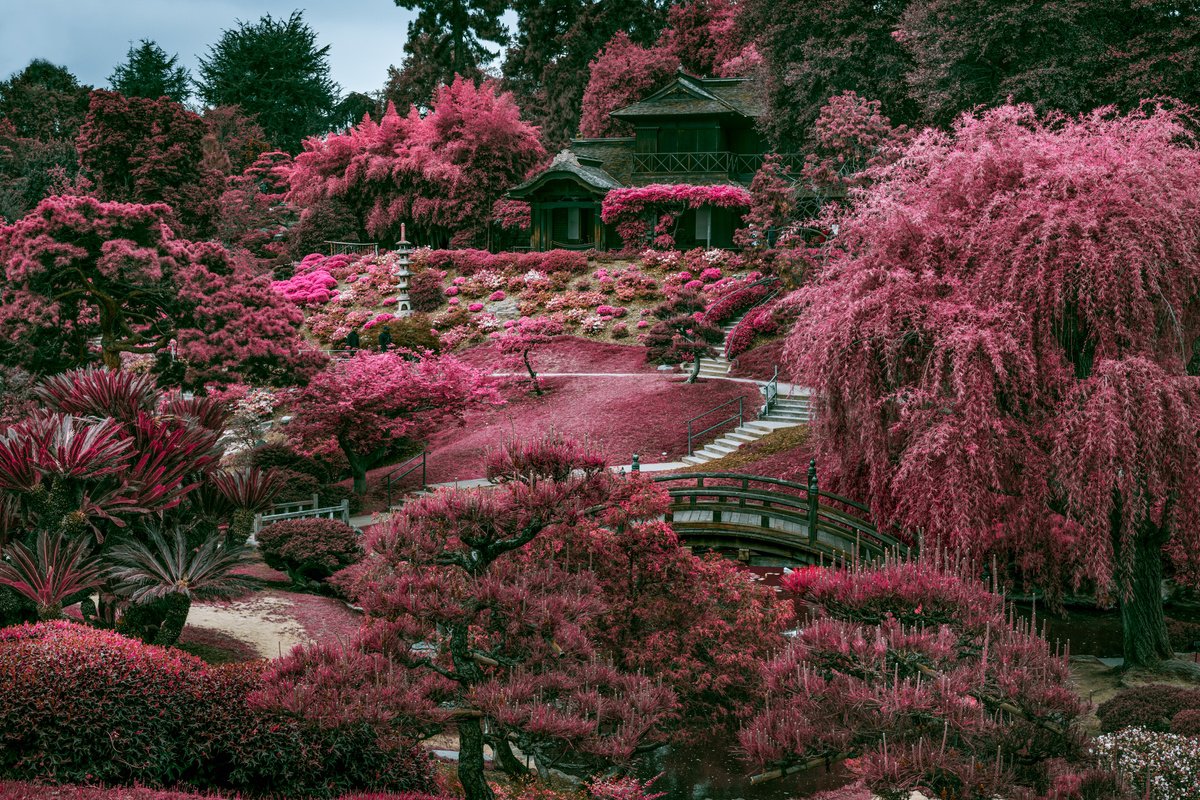 ZEN GARDEN I by Harv Greenberg