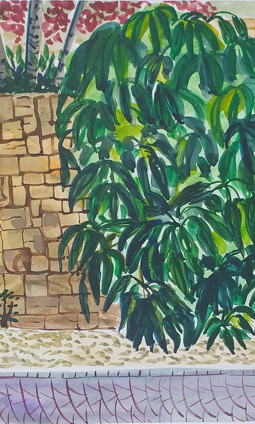 Terrace gardens at Rock Bay, Bahia las Rocas by Kirsty Wain