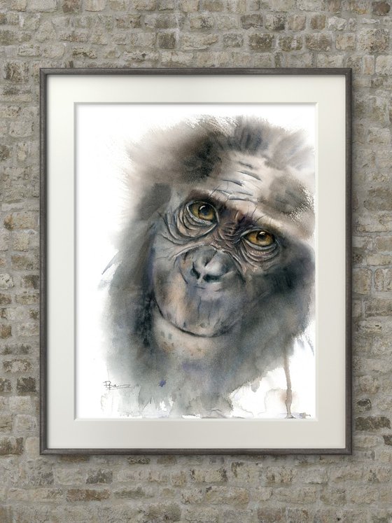 Monkey