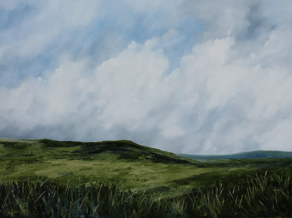 Impressionistic Landscape Oil Painting By John Halliday, 32 X 24, Grassland, Shades Of Green, Original Artwork