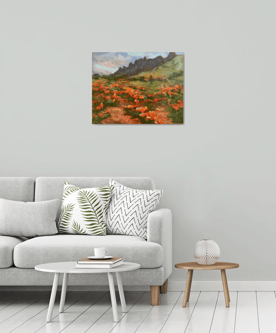 Desert in Spring