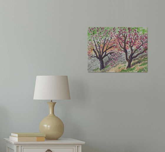 Two almond blossom trees.
