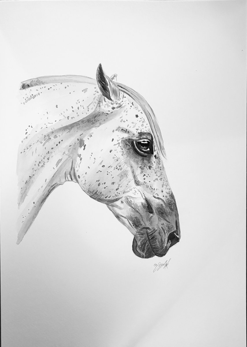 Impressionistic Watercolour , Grey Horse By Amelia Taylor, 8 X 12, Artwork For Sale On Artfinder