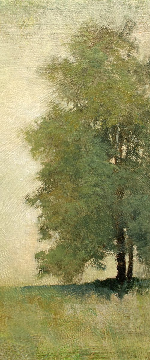 Spring Trees 240503 by Don Bishop