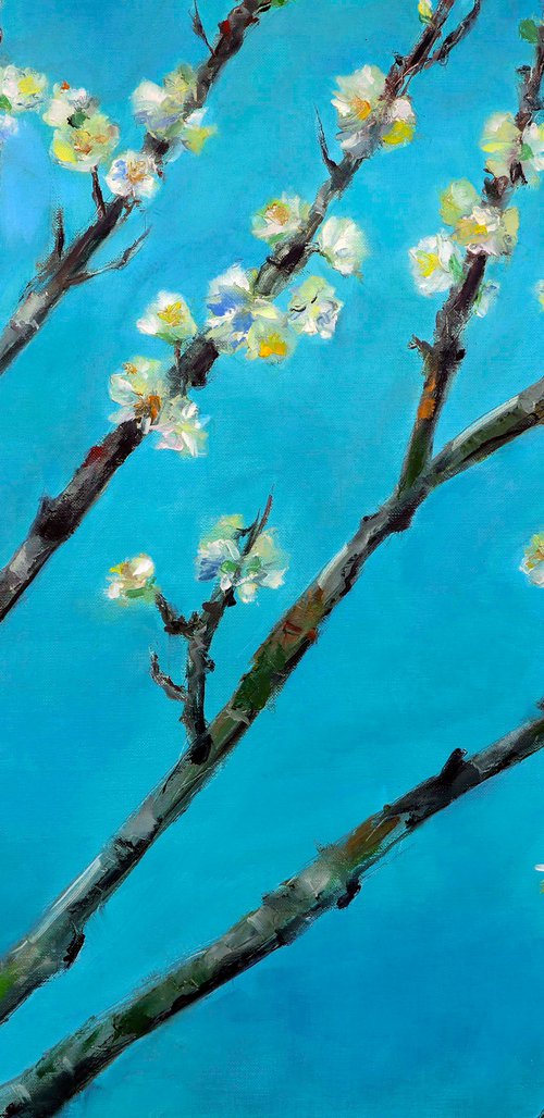 Spring blossom by Anna Lubchik