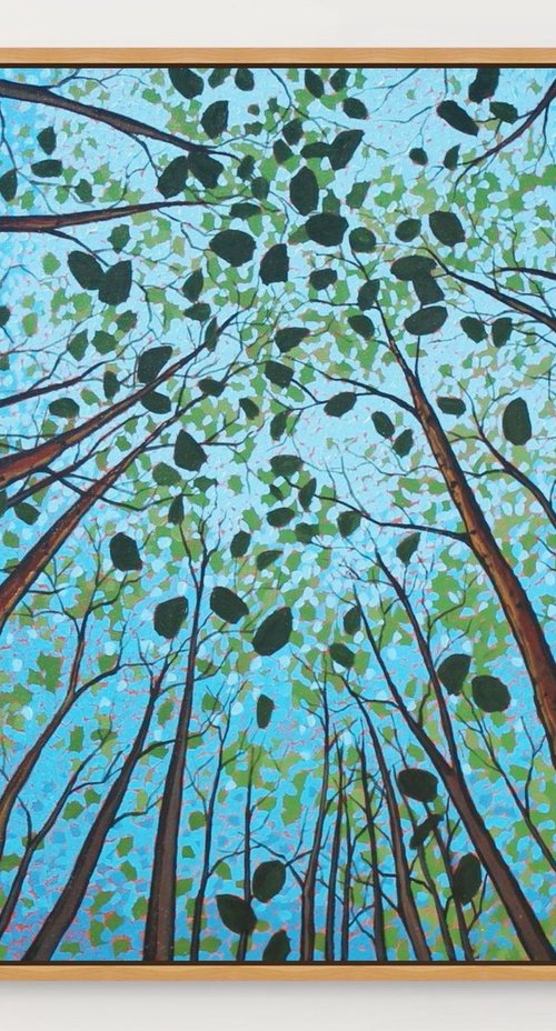 Canopy by Sage Mountain Studio