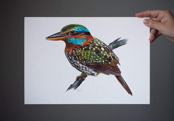 Birds Collection III