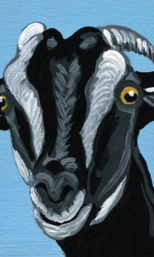 Goat Pet by Carla Smale