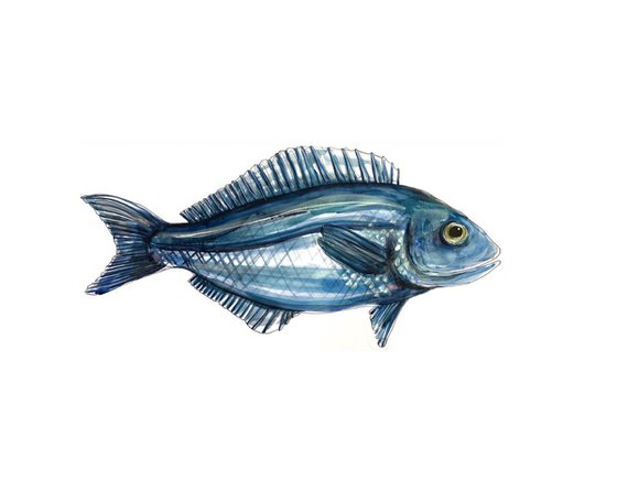 Blue saltwater fish