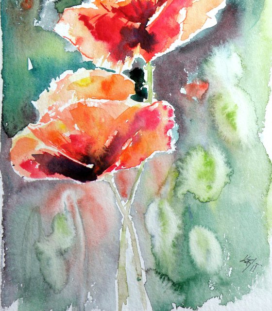 Poppies