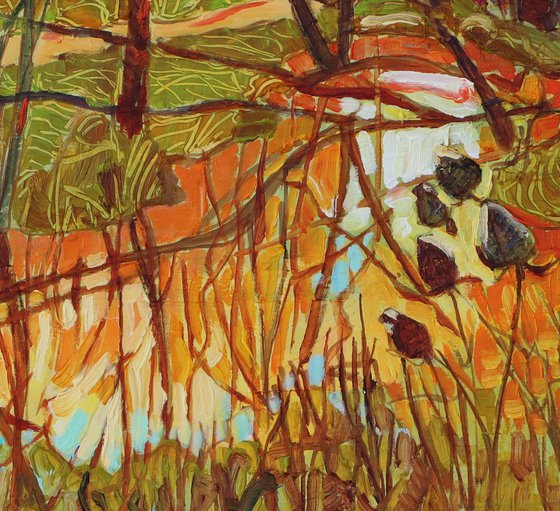 Sun Setting Over Aldi