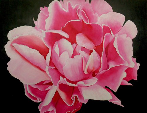"Bloomin'" Oil on Gessobord 18" x 24" by Maureen Hunt Piccirillo