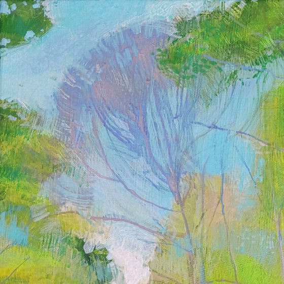 Woodland Walk