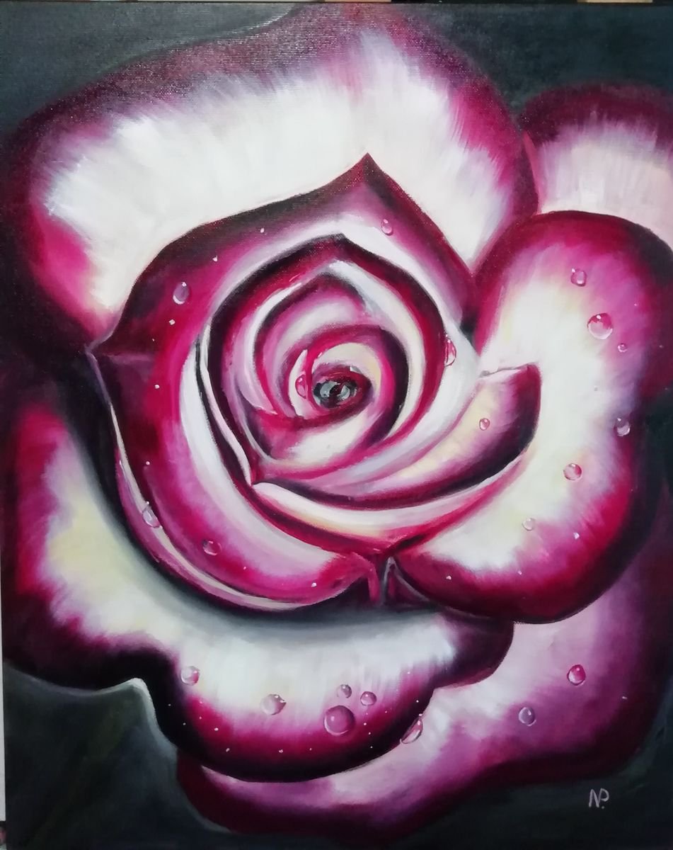 Rose, original oil floral painting, gift idea, flower wall art decor, gift idea by Nataliia Plakhotnyk