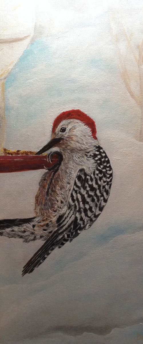 Red-Bellied Woodpecker by Donna Daniels