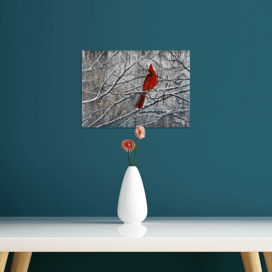 Red Cardinal