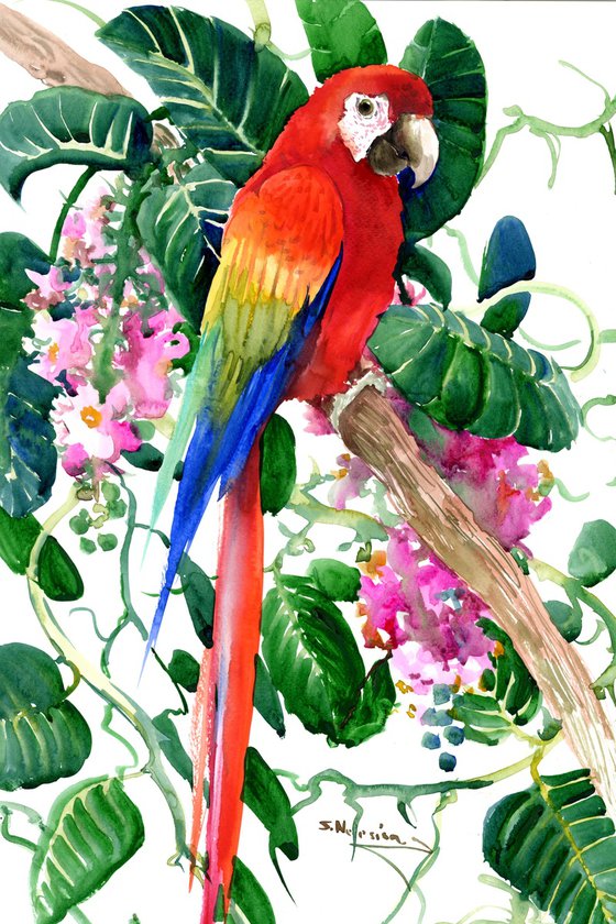 Scarlet MAcaw Parrot in the Jungle