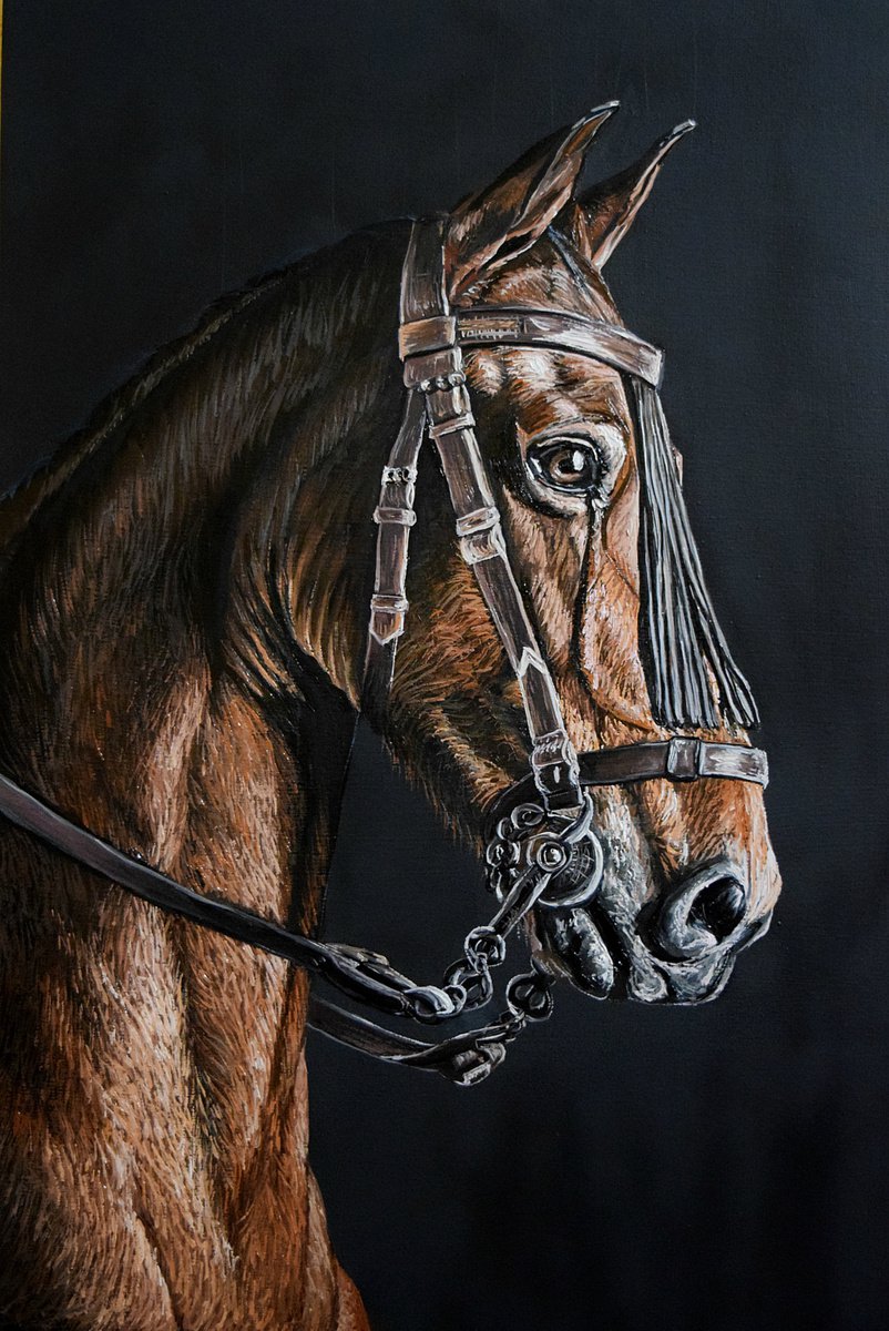 Horse by Elena Adele Dmitrenko