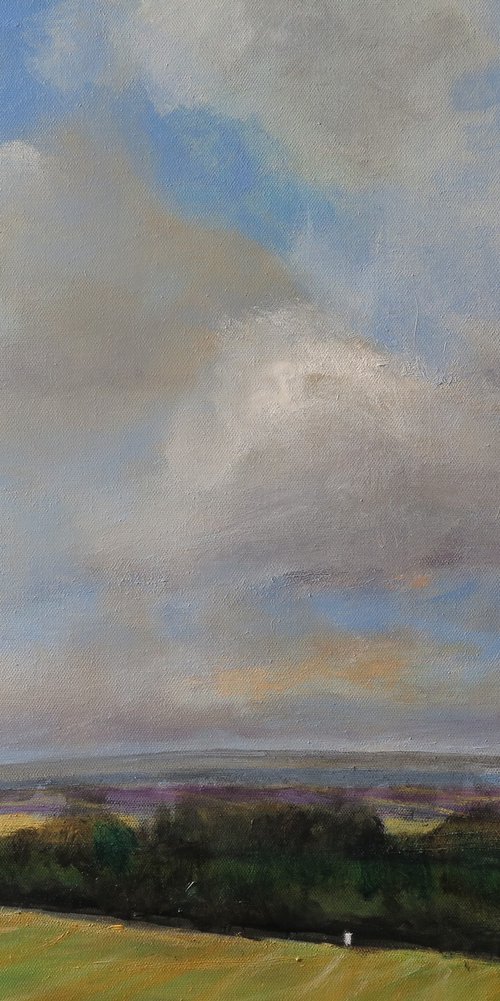 Wolds, Feb 24 by Malcolm Ludvigsen