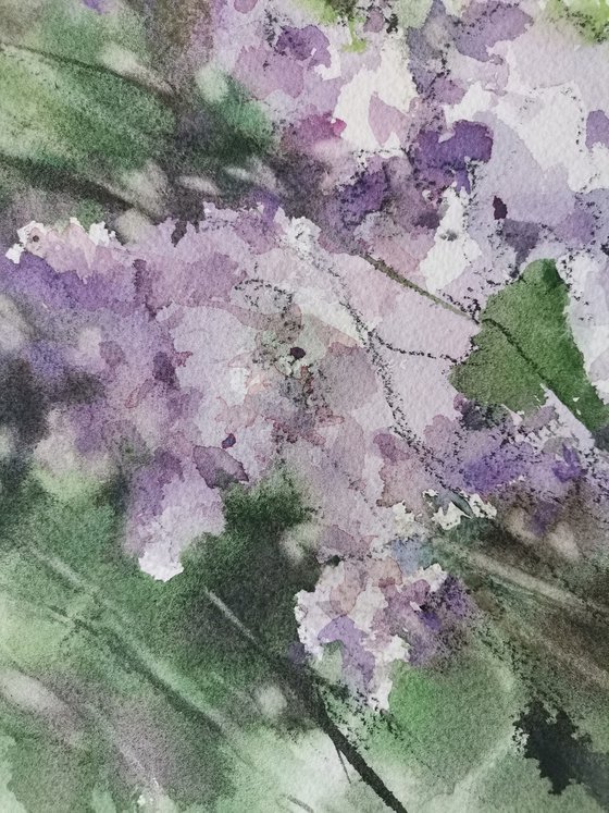 Wind in the lilac bushes