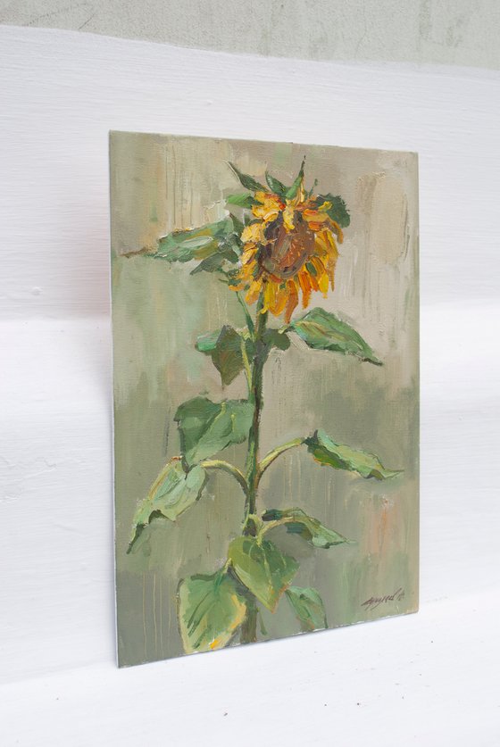 Sunflower