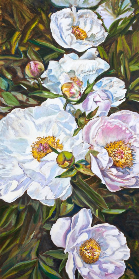 Peonies