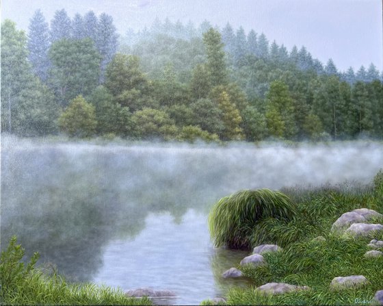 Foggy Tranquility