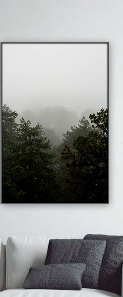 Photography by Nadia Moniatis