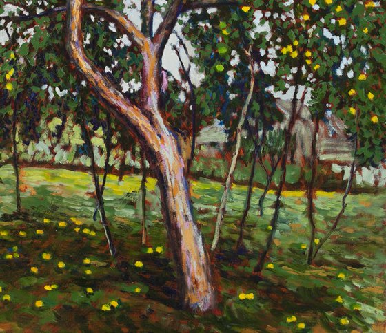 Apple Tree