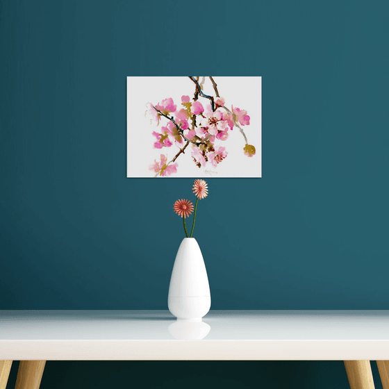 Cherry Blossom,  sakura