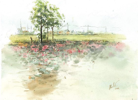 Lotus field