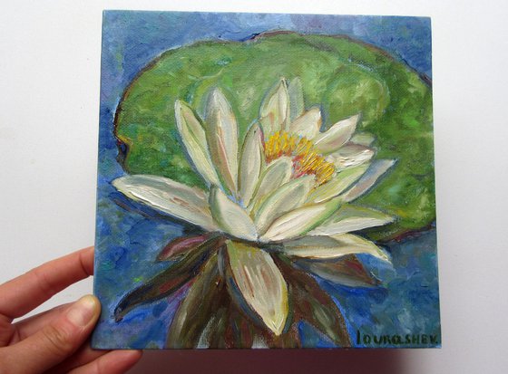 Waterlilies