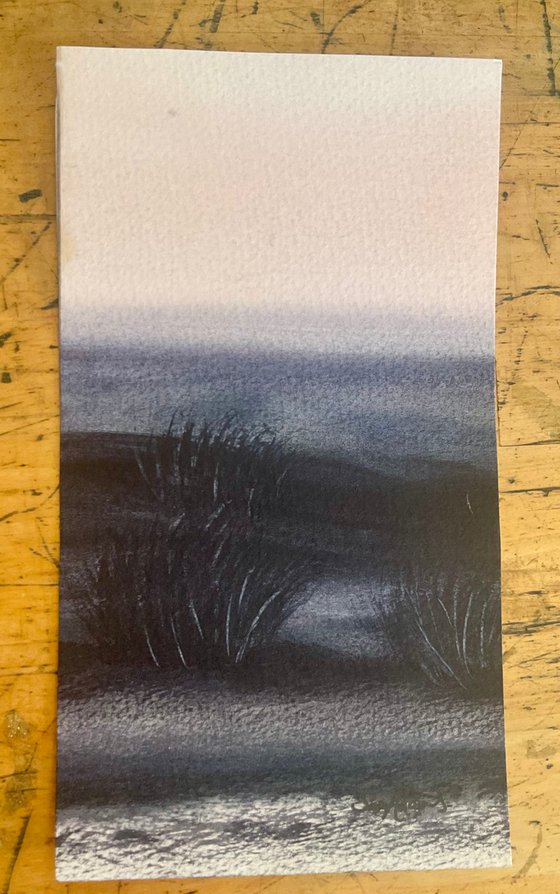Dunes, grasses, sea