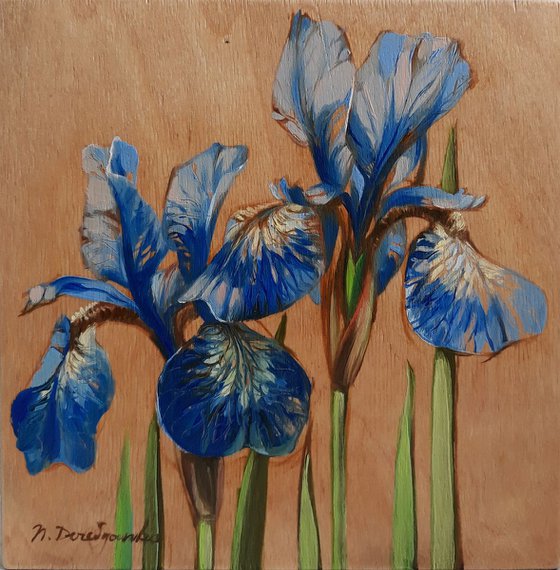 Blue irises