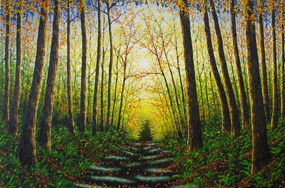 Forest Glow