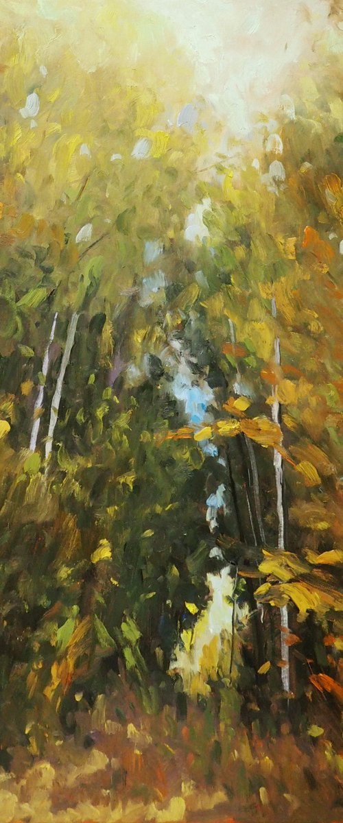 Autumn colors by Yuanyuan Liu