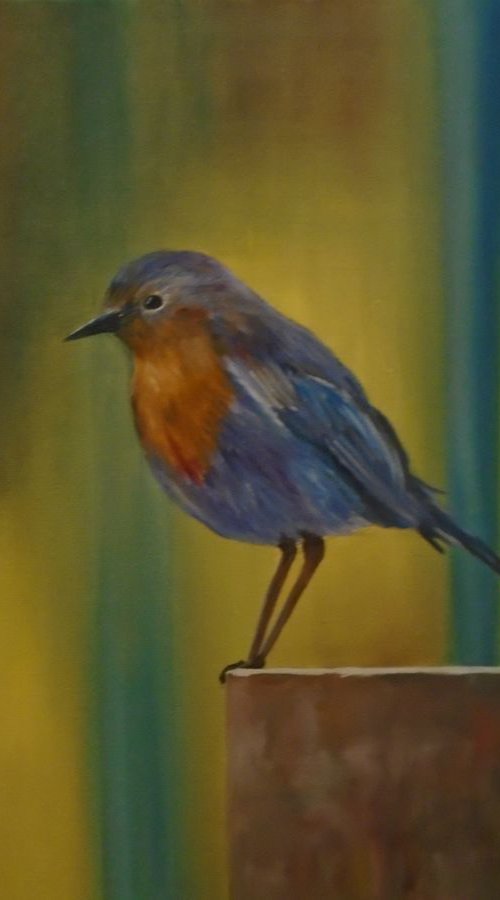 Robin by Timea  Valsami