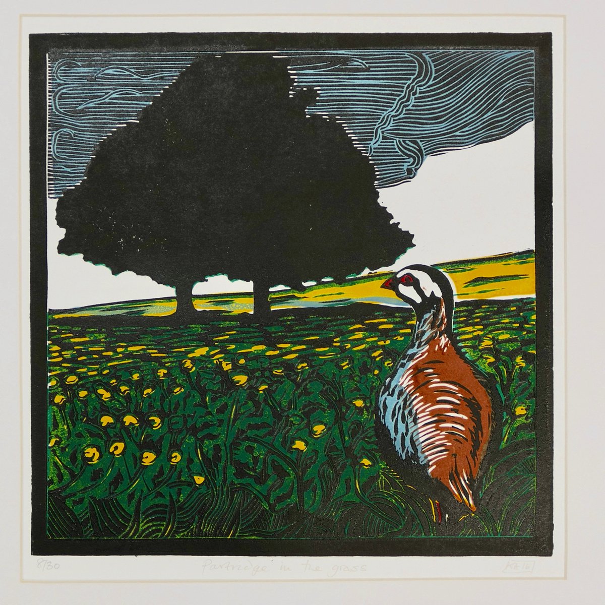 Partridge in the Grass by Keith Alexander