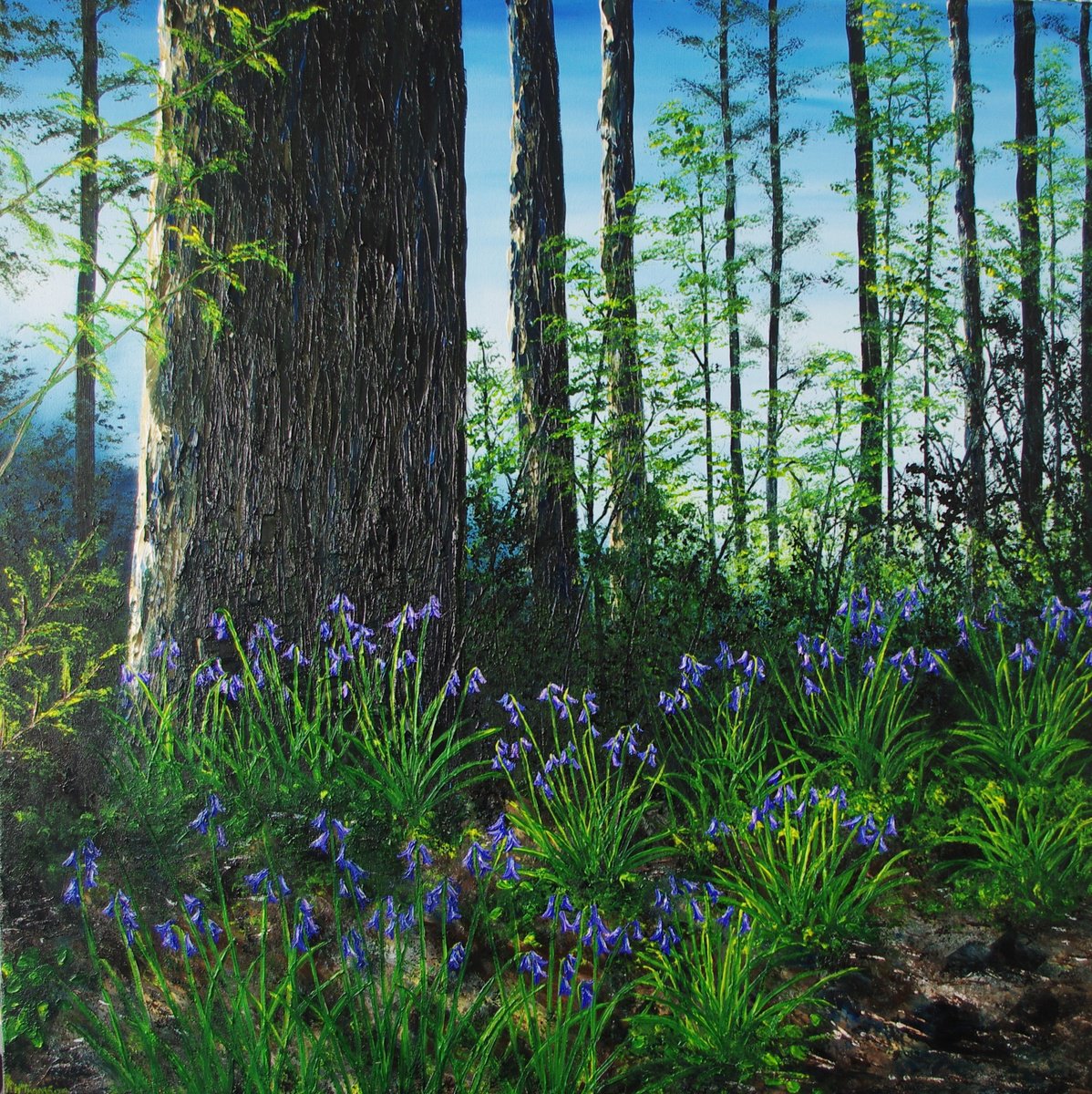 Forest Floor in Spring by Hazel Thomson