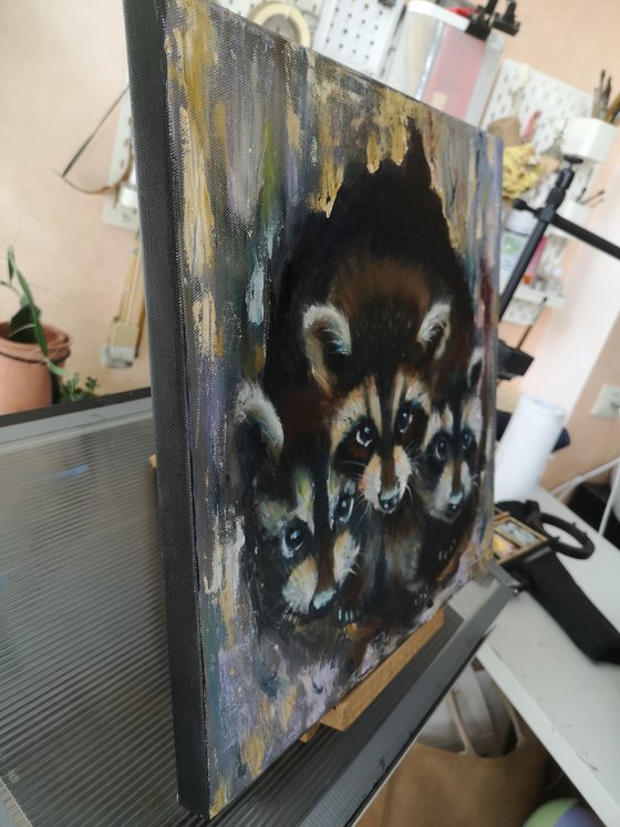 Raccoon Family