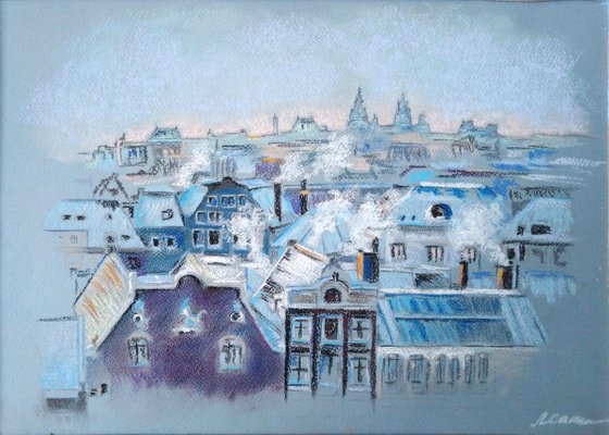 Flight over winter Amsterdam