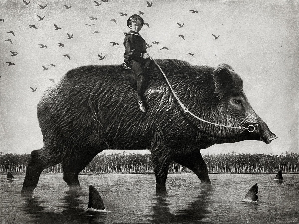 Surrealistic Animal Etchings & Engravings By Jaco Putker, 10 X 13, Exterior No.59, Original Artwork